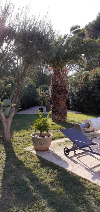 Apartament Mas Saint Genieis Canet  Zewnętrze zdjęcie