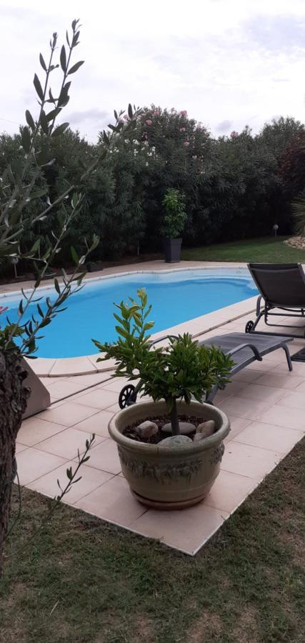 Apartament Mas Saint Genieis Canet  Zewnętrze zdjęcie
